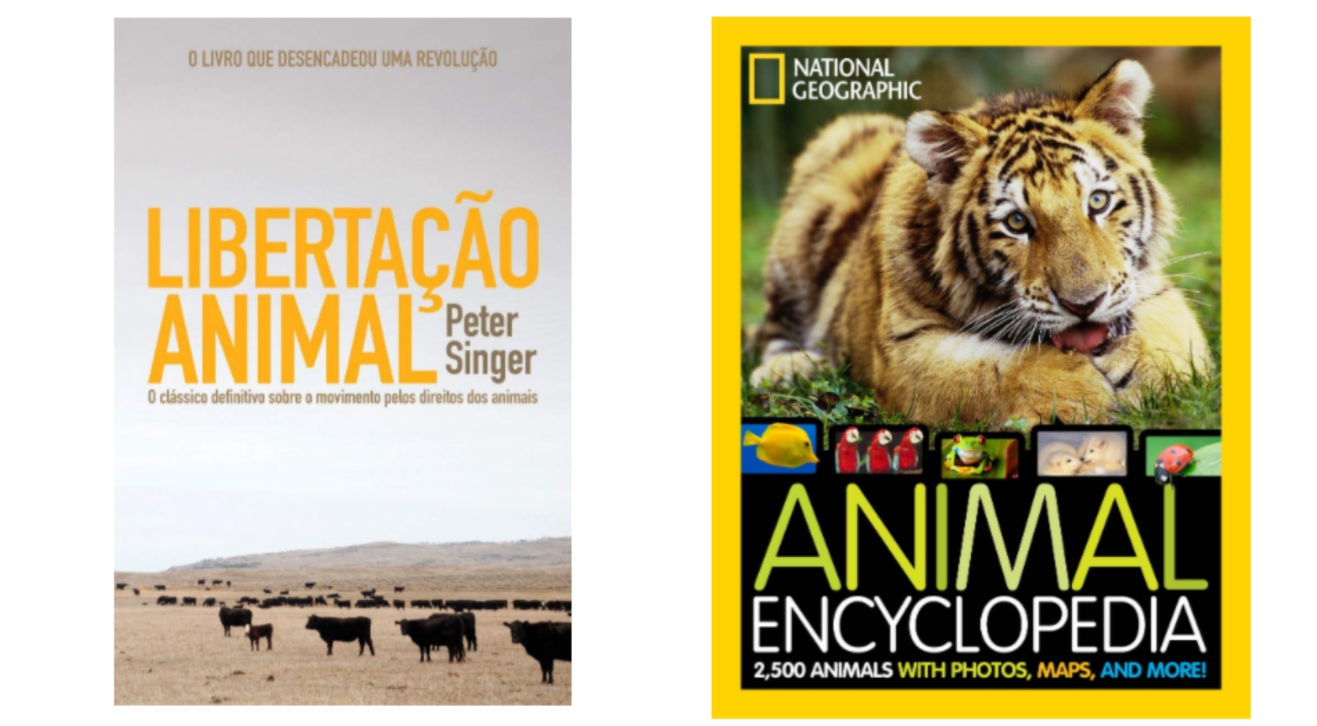 Entenda mais sobre o mundo animais com estes 7 livros impressionantes