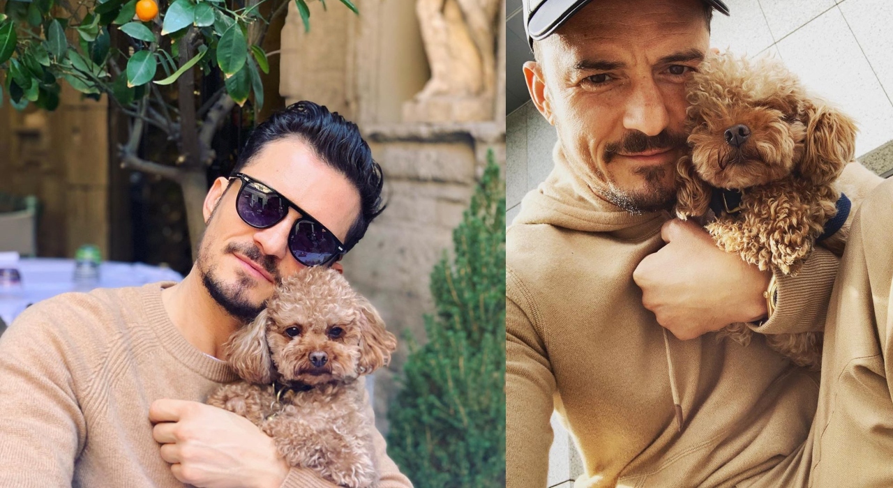 Ator Orlando Bloom perde cachorro de estimação e oferece recompensa para quem encontrá-lo
