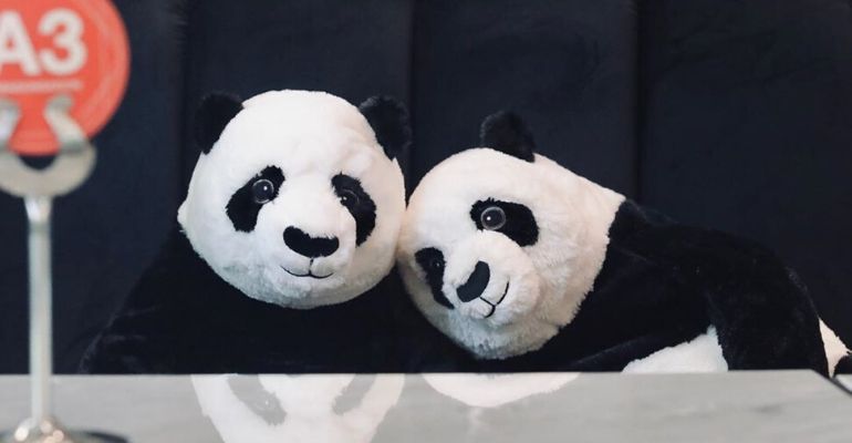Restaurante usa pandas de pelúcia para fazer companhia a clientes durante quarentena