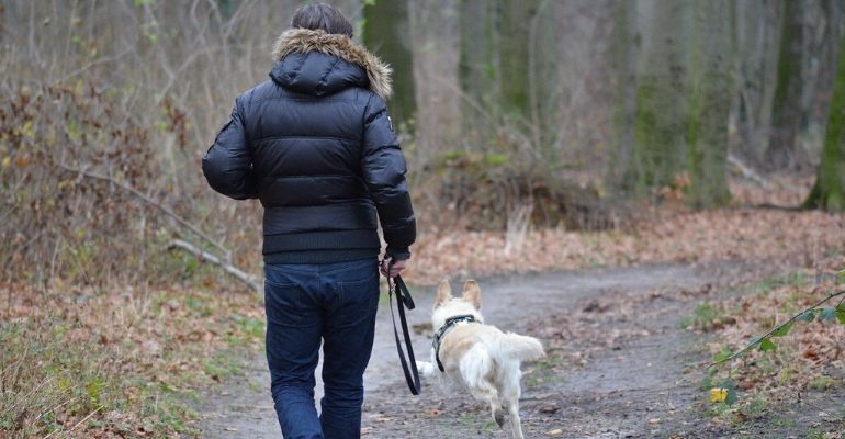 Rapaz é preso após atacar amigos que não o deixaram passear com cachorro de estimação