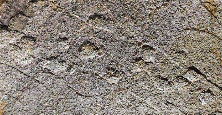 Pegadas de dinossauro gigante são encontradas no teto de caverna na França