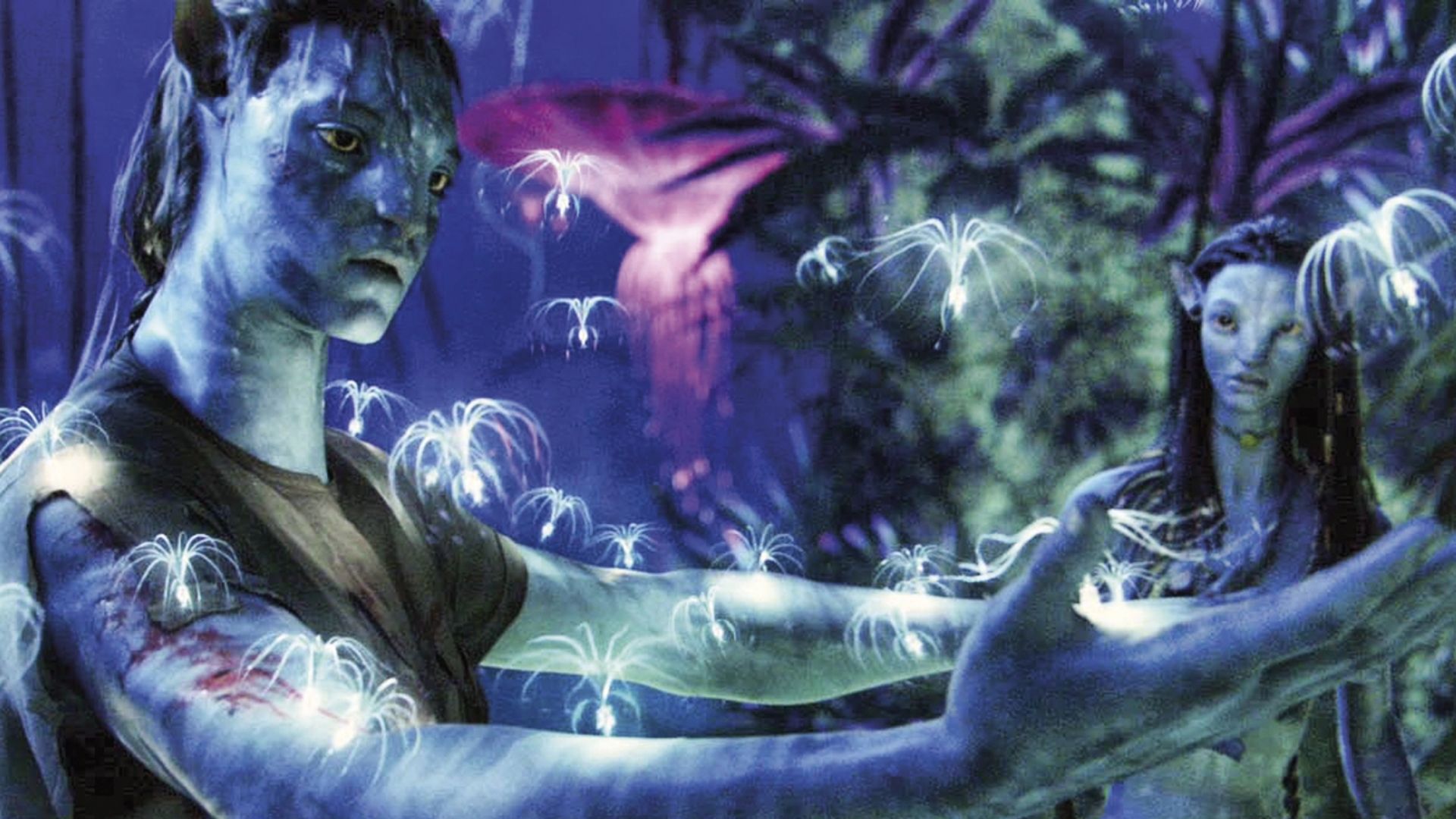 Quase 15 anos depois, “Avatar” ainda parece incrível nas telonas? | #CineBuzzIndica