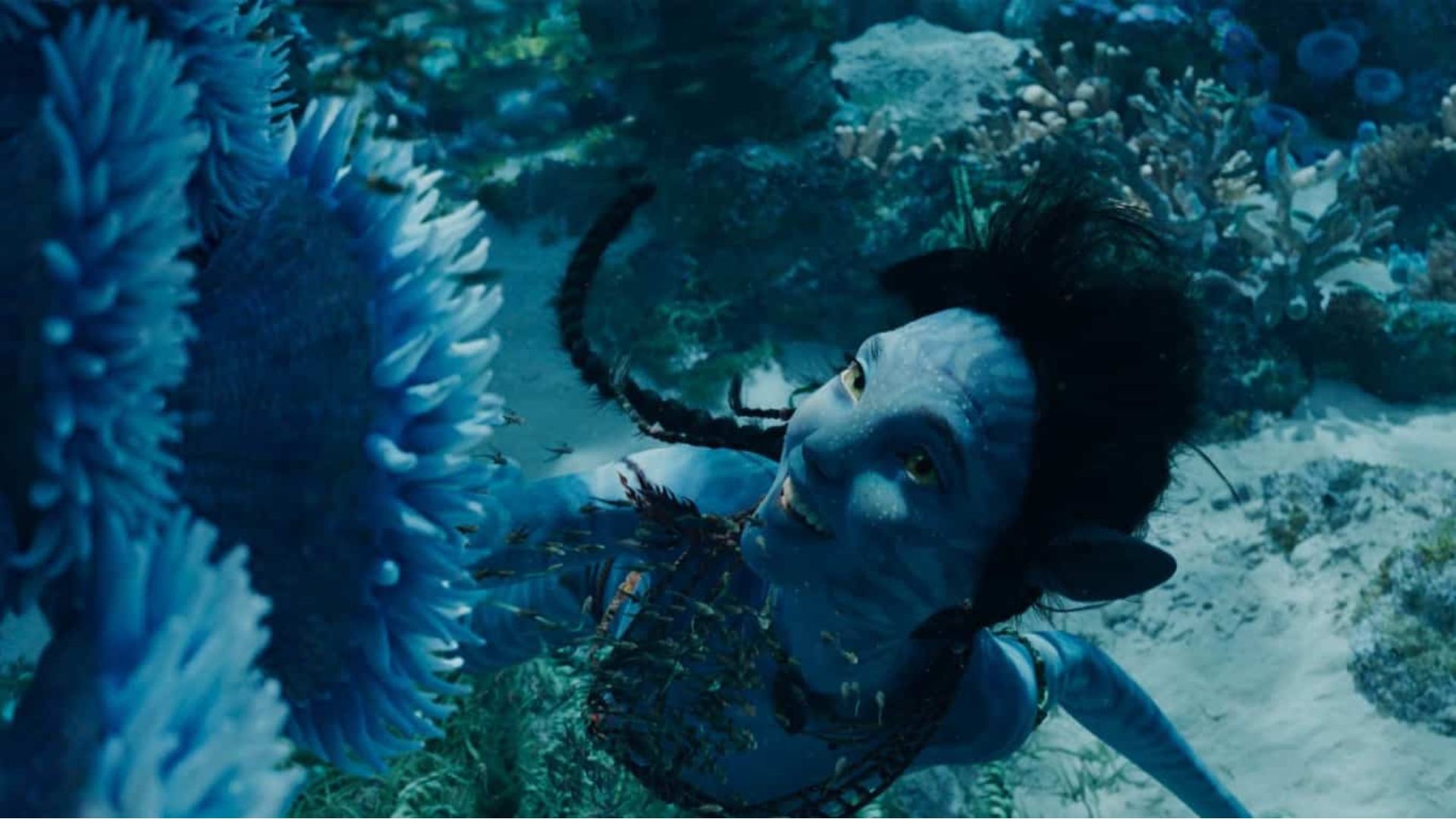 Relançamento de “Avatar” tem prévia da sequência, “O Caminho da Água”; veja descrição