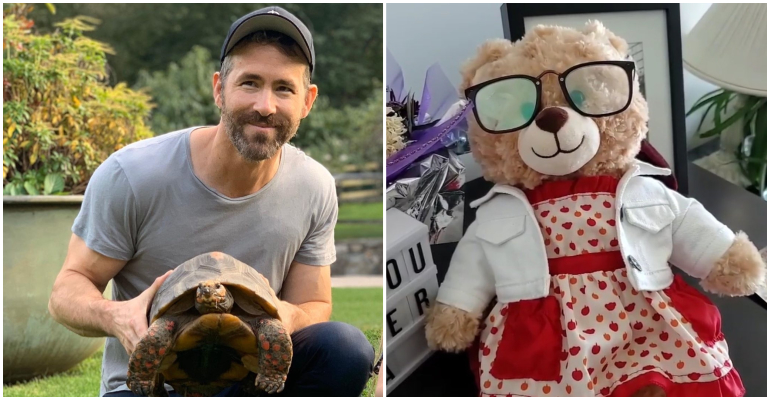 Ryan Reynolds, estrela de Deadpool, oferece R$ 20 mil para quem encontrar ursinho de pelúcia roubado