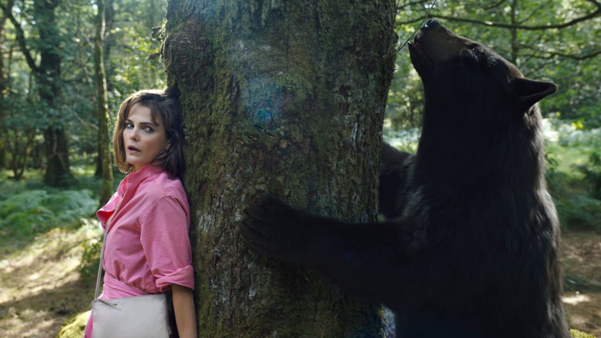 Sabia que “O Urso do Pó Branco” é baseado em uma história real?