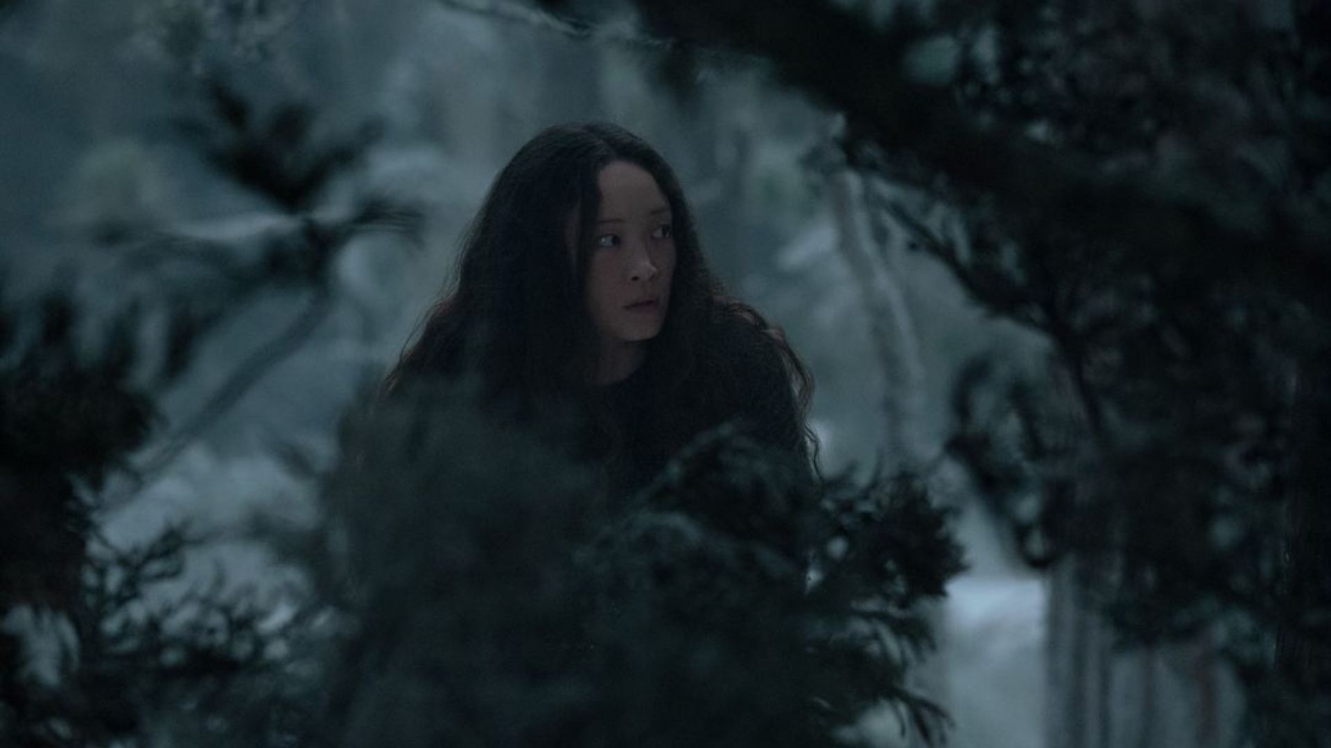 “Sem Saída”, suspense com Havana Rose Liu, chega ao Star+