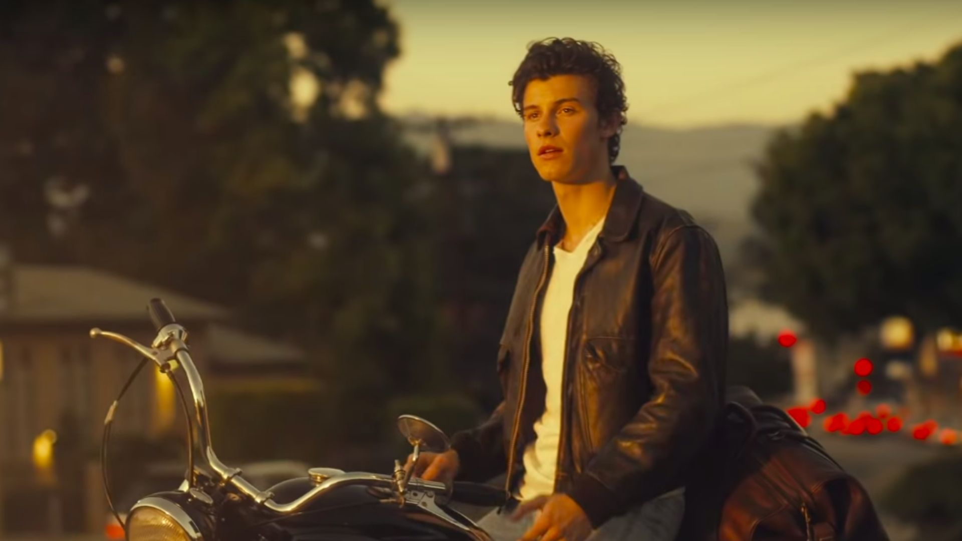 Shawn Mendes cancela show em São Paulo e fãs mandam apoio para o cantor pelas redes sociais