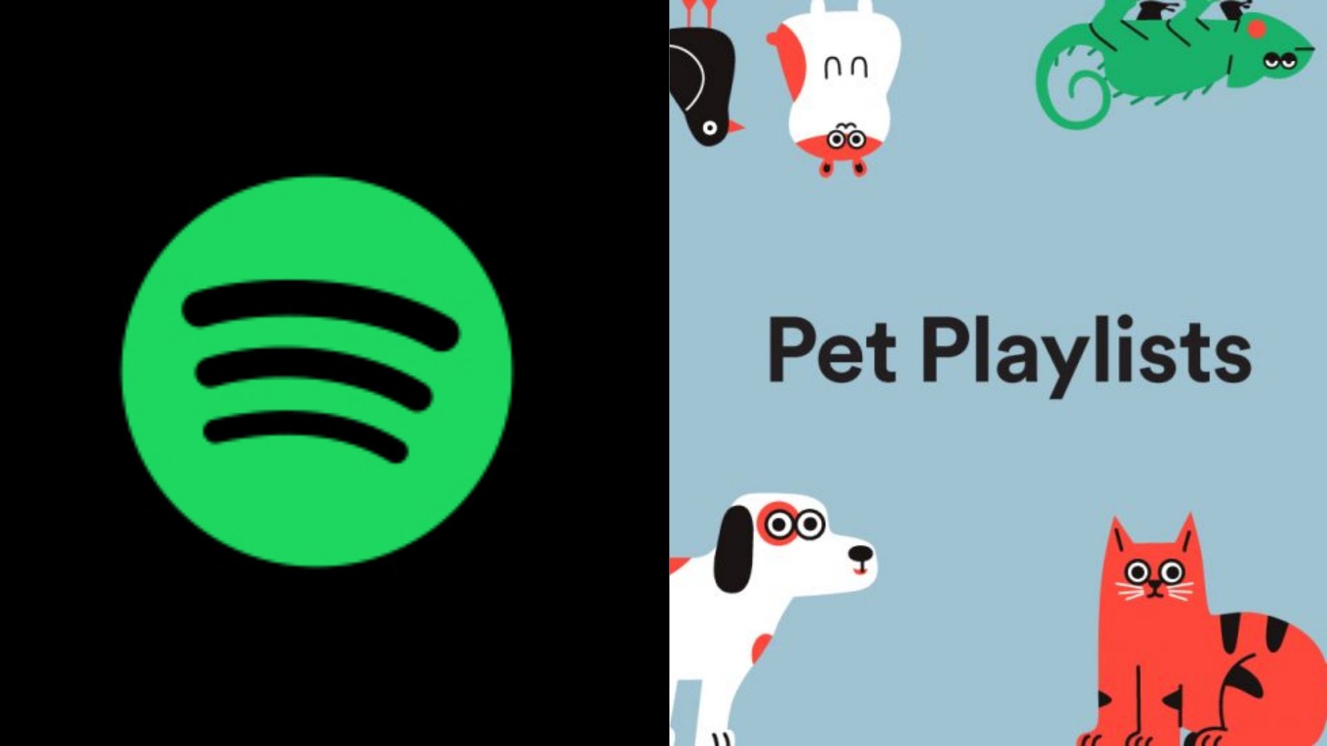 Spotify agora tem playlist para animais de estimação