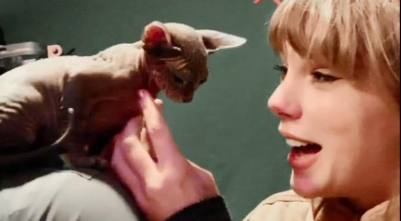 De grandes cenários até um gato de verdade, Taylor Swift mostra os bastidores de Cats nas redes sociais