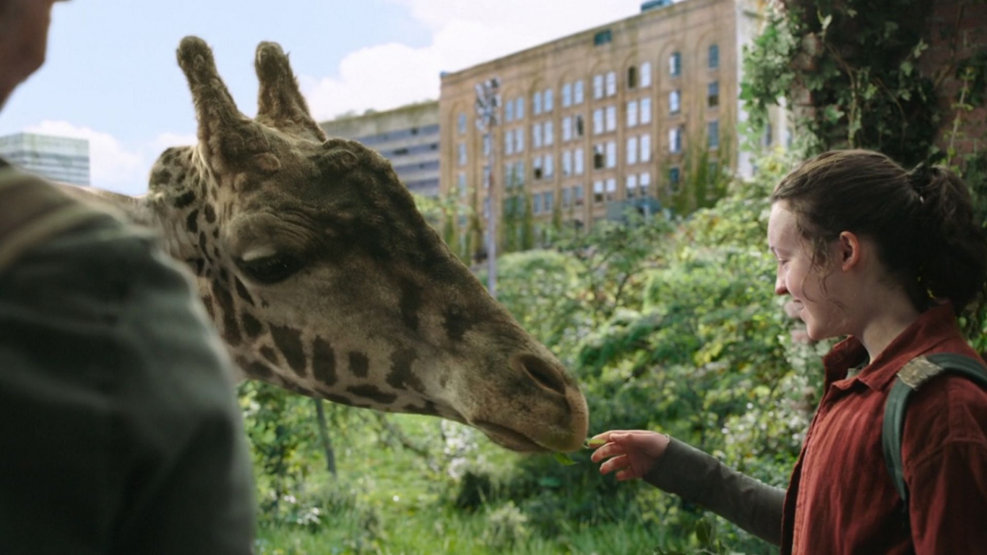 “The Last of Us”: Série usou uma girafa real para recriar famosa cena do jogo