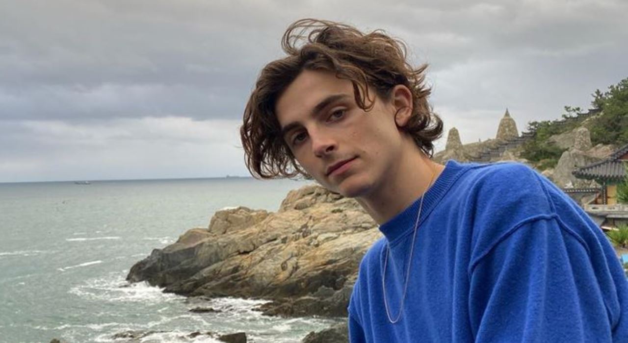 Duna: Timothée Chalamet revela que adaptação foi a produção mais louca de sua vida depois de O Rei
