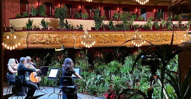 Teatro reabre em meio à pandemia de coronavírus com uma plateia de mais de 2 mil plantas