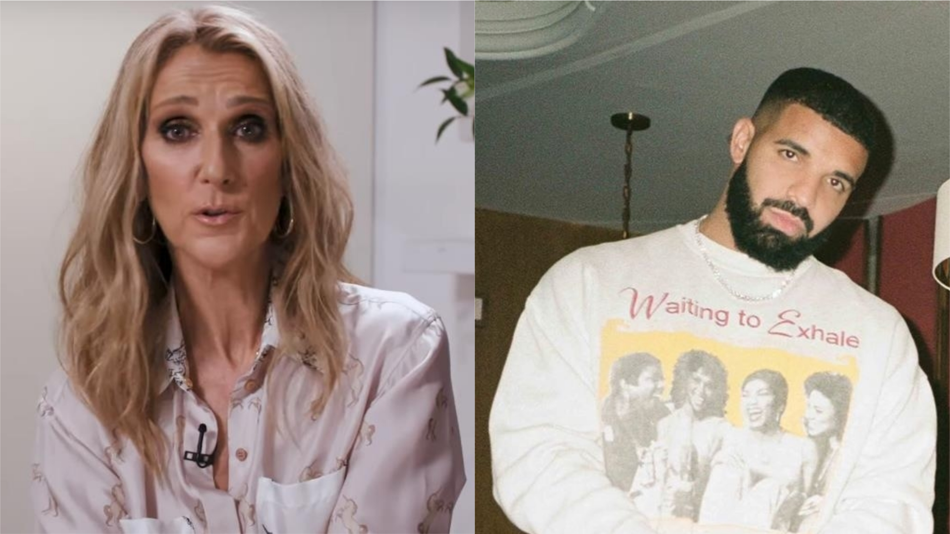 Céline Dion faz apelo para Drake não fazer tatuagem de seu rosto