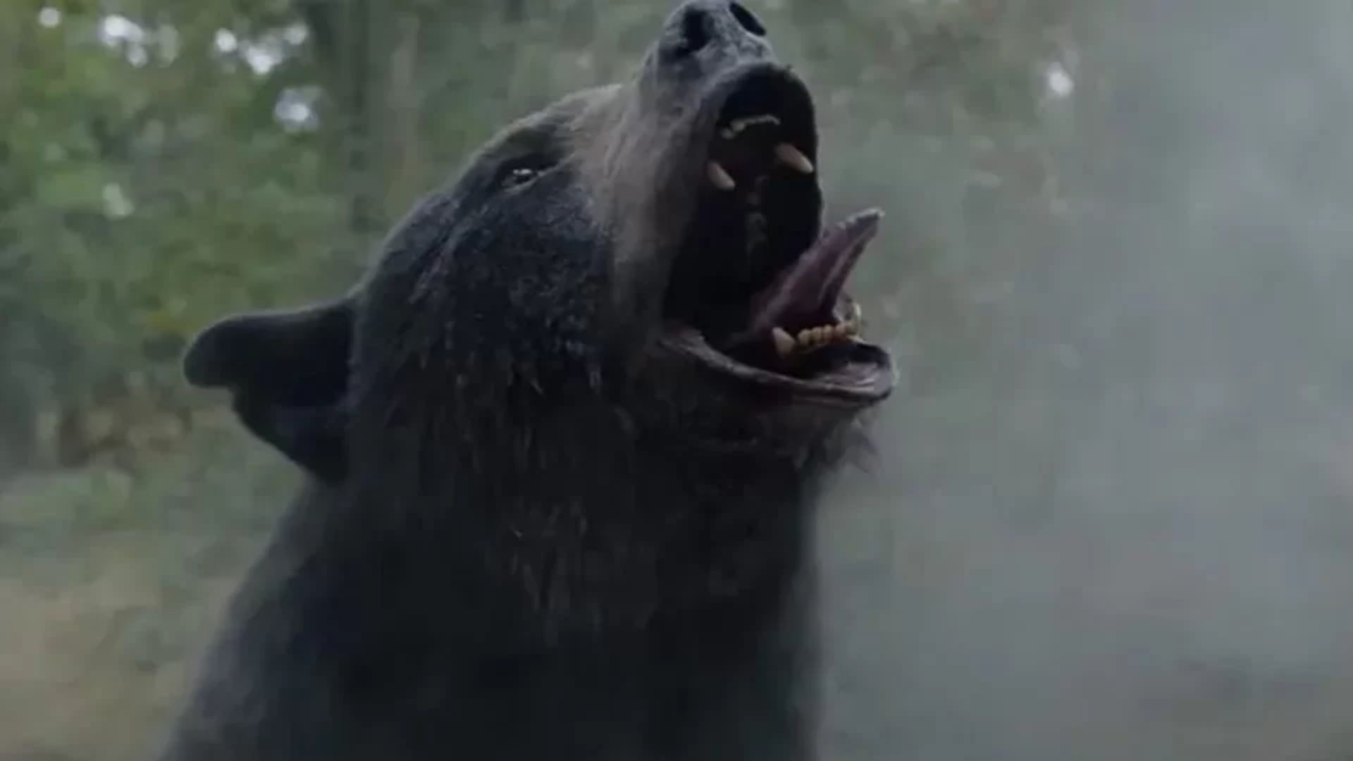 “O Urso do Pó Branco” ganha game violento ao estilo Pac-Man; jogue