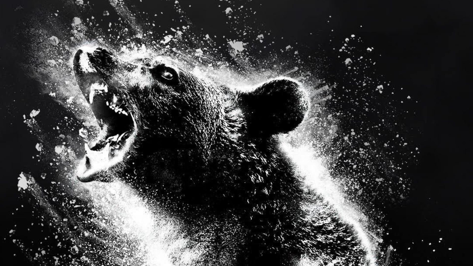 “O Urso do Pó Branco”, novo filme de Elizabeth Banks, ganha trailer eletrizante; assista