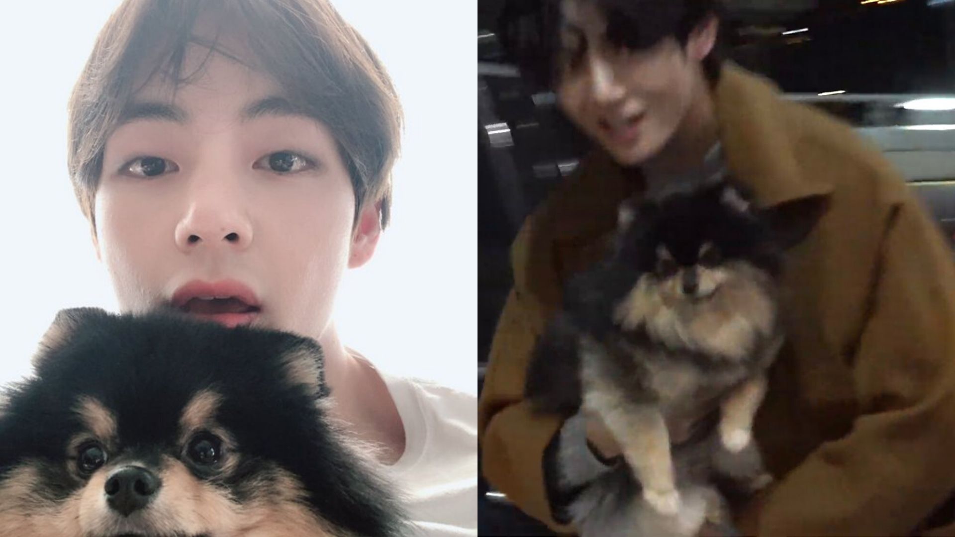 V, do BTS, é visto com cachorrinho de estimação em aeroporto e derrete o coração dos fãs; confira