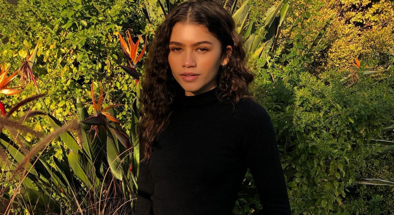 Zendaya pode ser a próxima artista a entrar para a faculdade de Direito